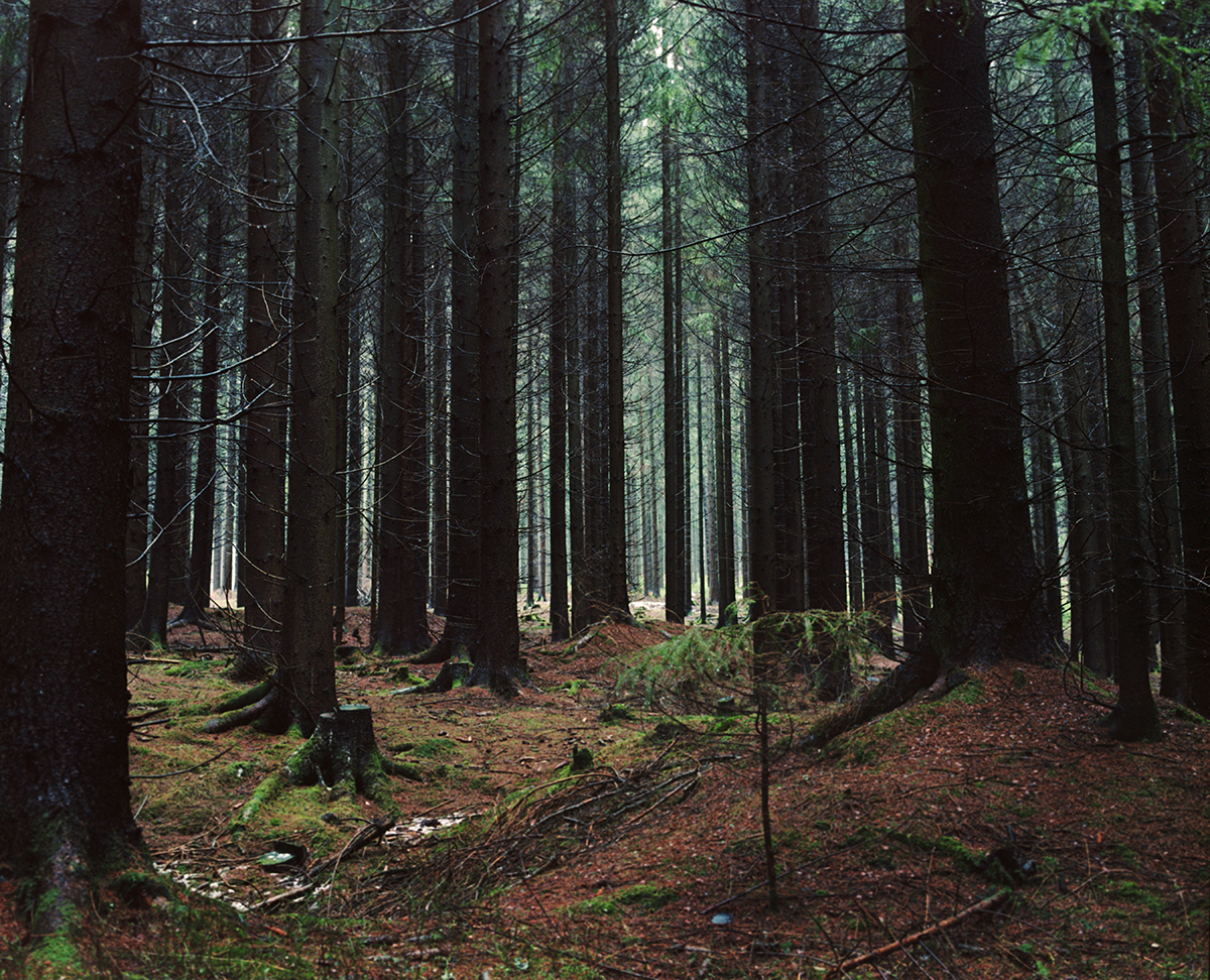 <p>2025<br />
TRADITION (2014-25)</p>
